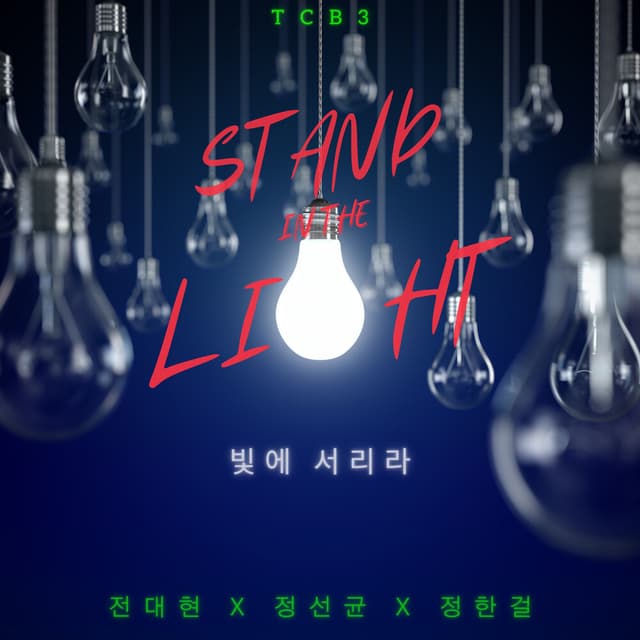 Album cover art for Stand In The Light_빛에 서리라