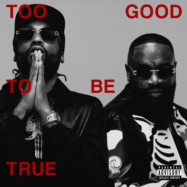 Album cover art for Too Good to Be True