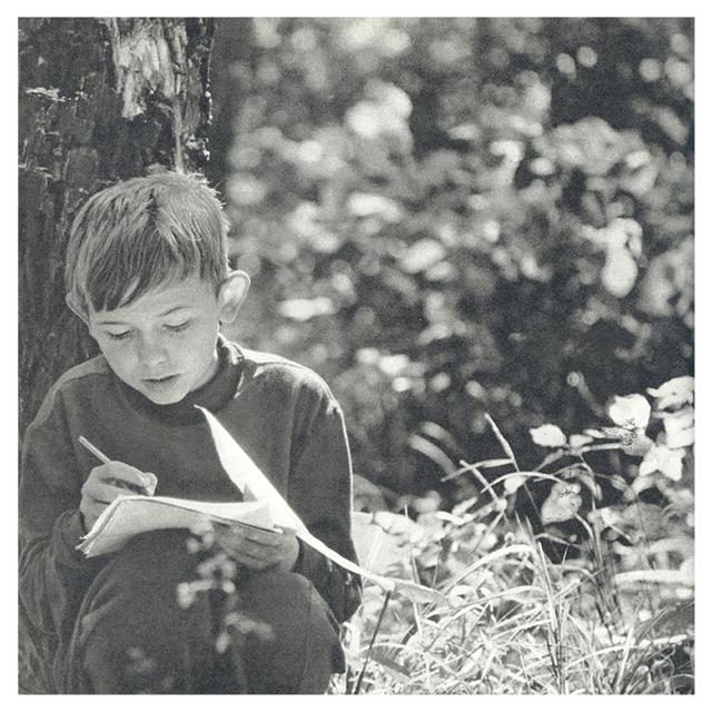 Album cover art for Alps