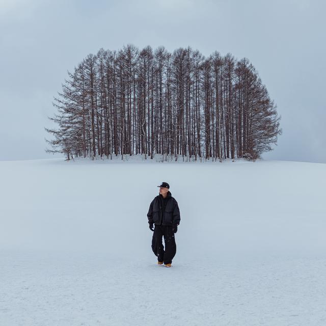 Album cover art for 合照