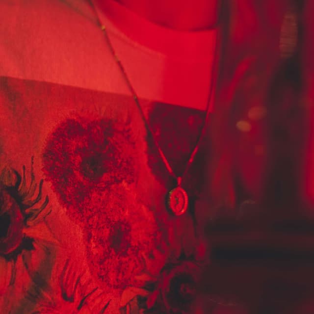 Album cover art for fever dream