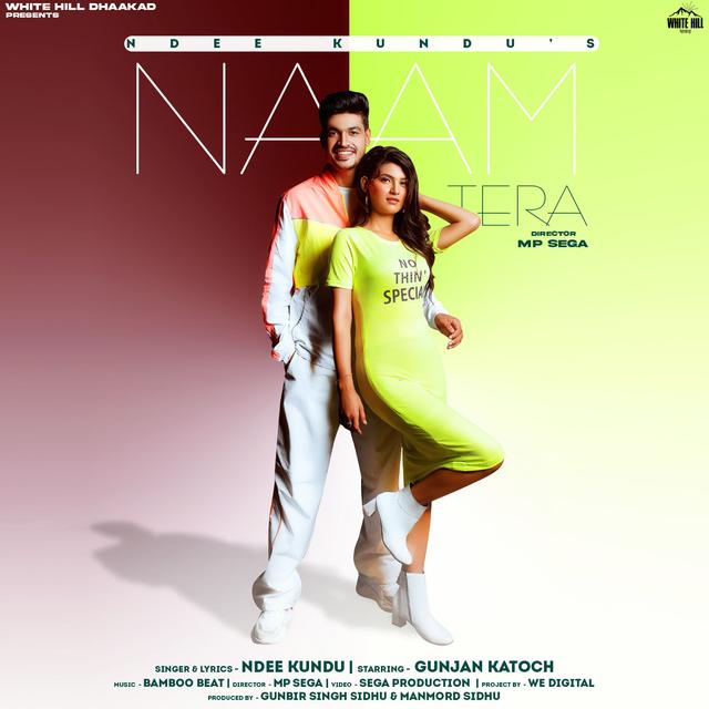 Album cover art for Naam Tera