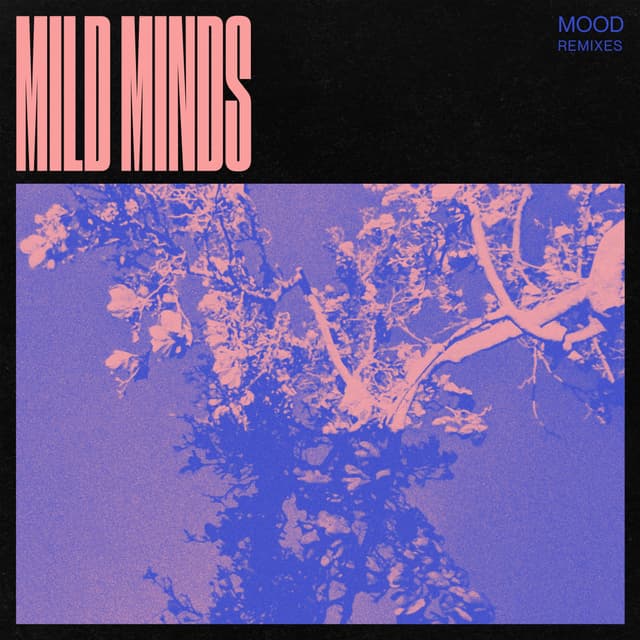 Album cover art for MOOD