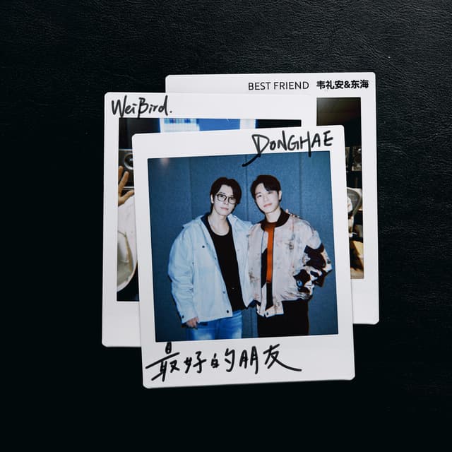 Album cover art for Best Friend