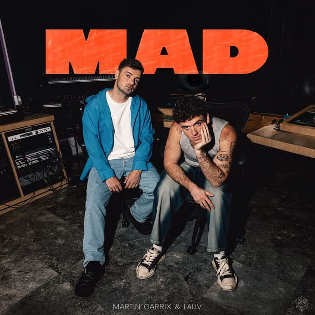 Album cover art for MAD