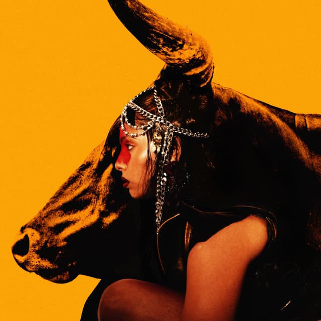 Album cover art for 27 CLUB