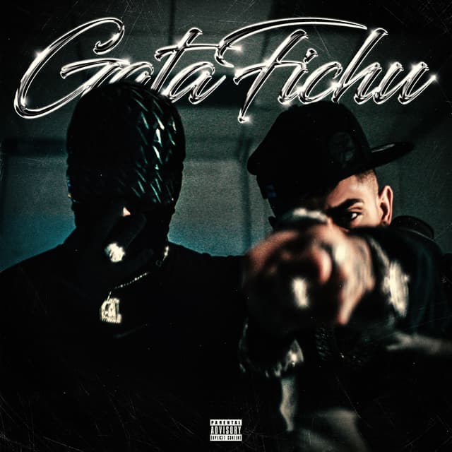 Album cover art for Gata Fichu