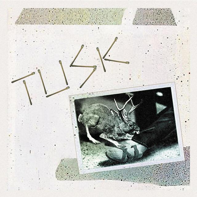 Album cover art for Tusk