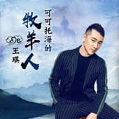 Album cover art for 可可托海的牧羊人