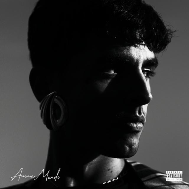 Album cover art for Anima Mundi