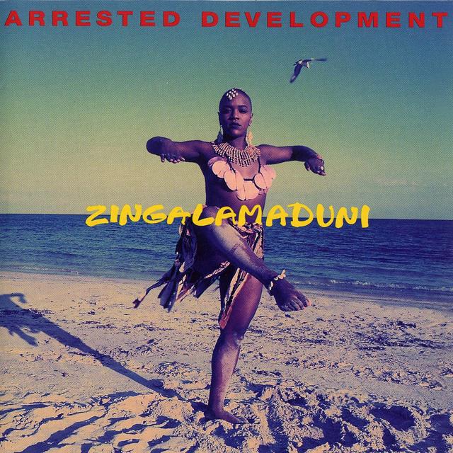 Album cover art for Zingalamaduni