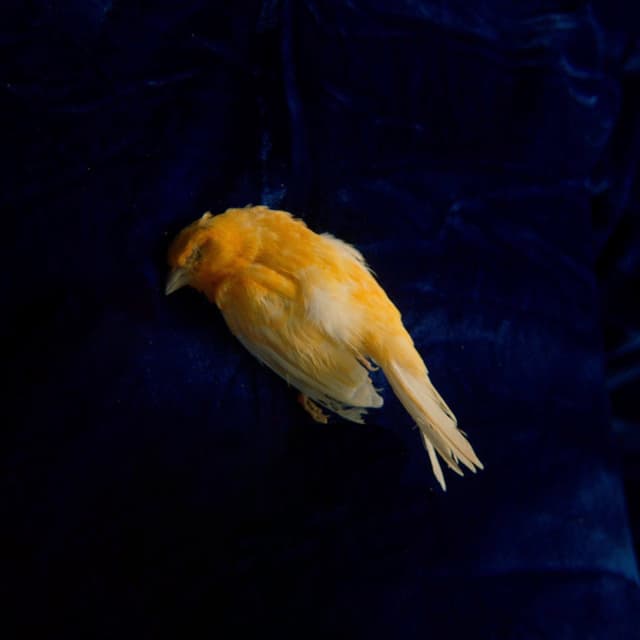 Album cover art for Left Behind