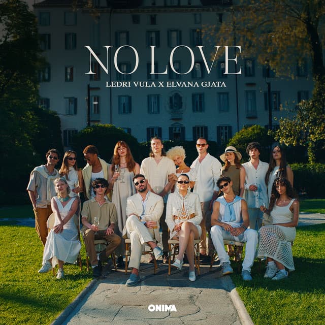 Album cover art for NO LOVE