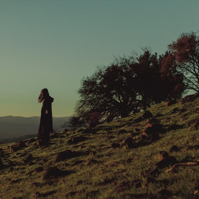 Album cover art for Scarecrow