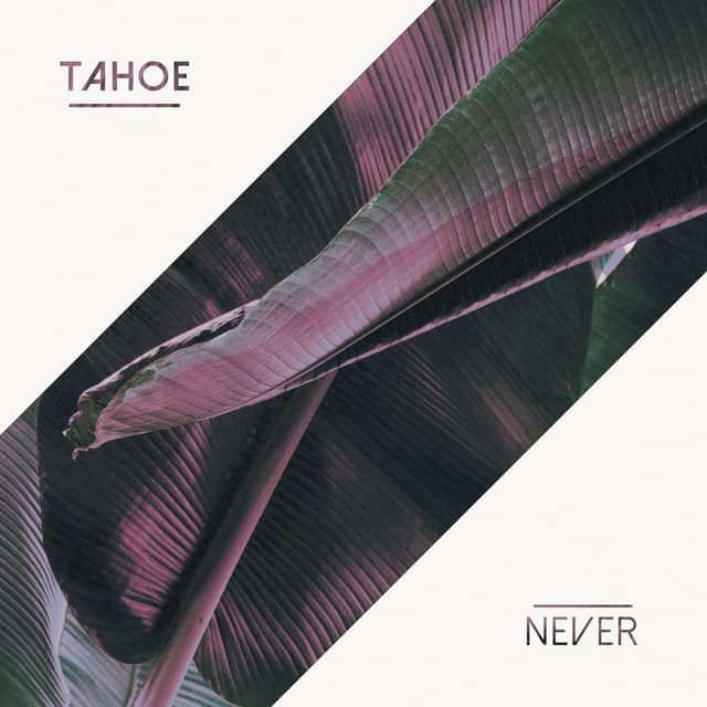 Album cover art for Never