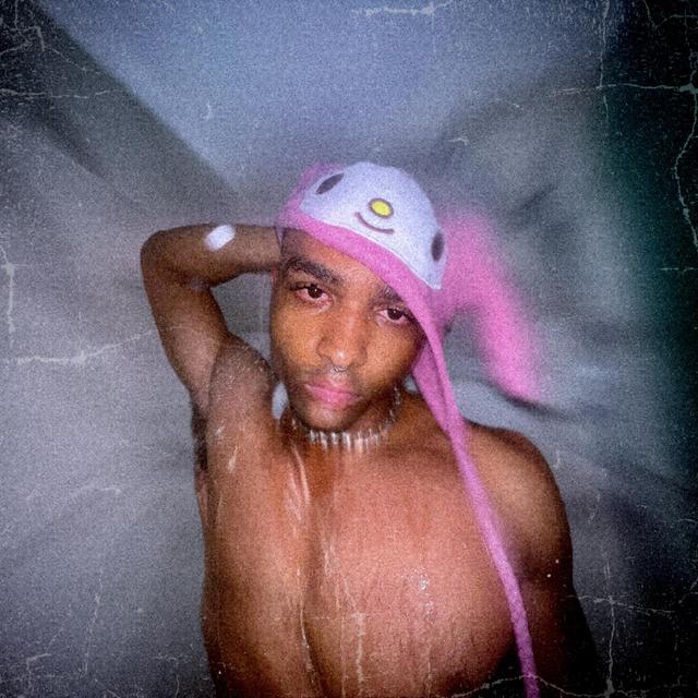 Album cover art for PRINCE$$