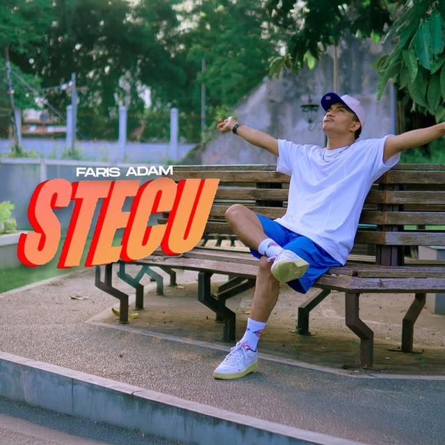 Album cover art for Stecu