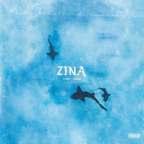 Album cover art for Zina