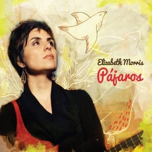 Album cover art for Pajaros
