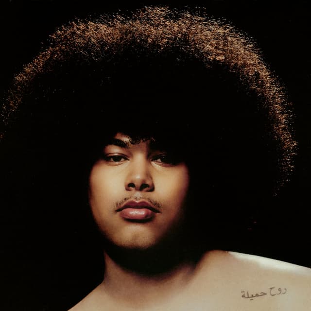 Album cover art for Dangerous Lover