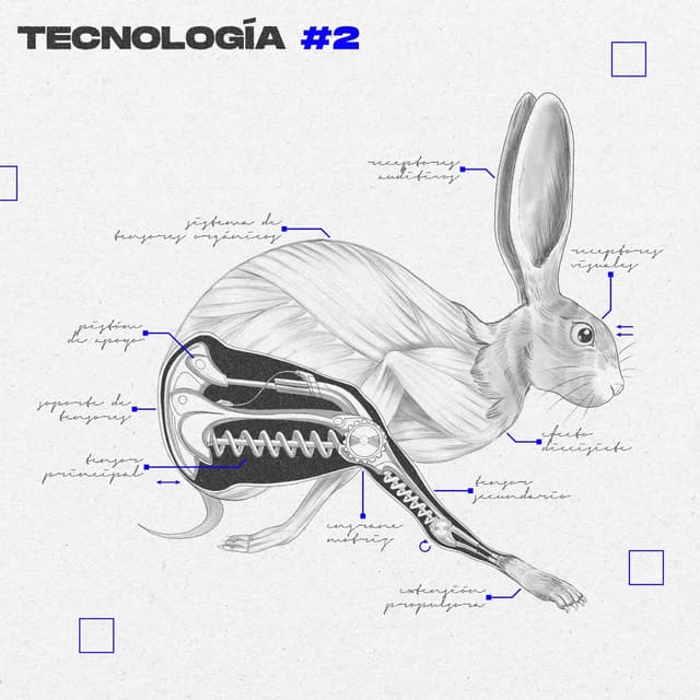 Album cover art for Tecnología #2