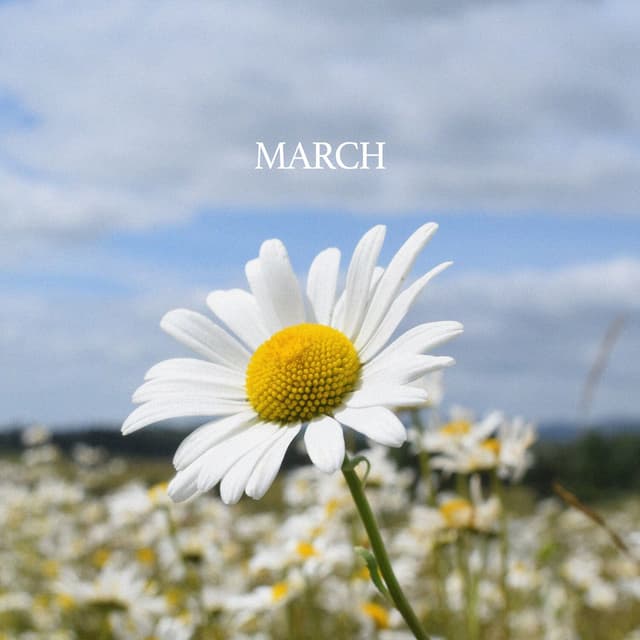 Album cover art for March