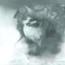 WAY THAT SHE MOVES!