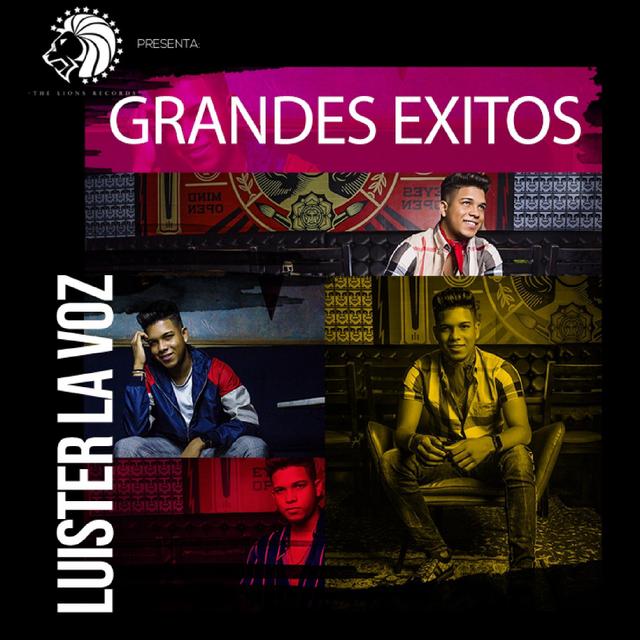 Album cover art for Grandes Exitos