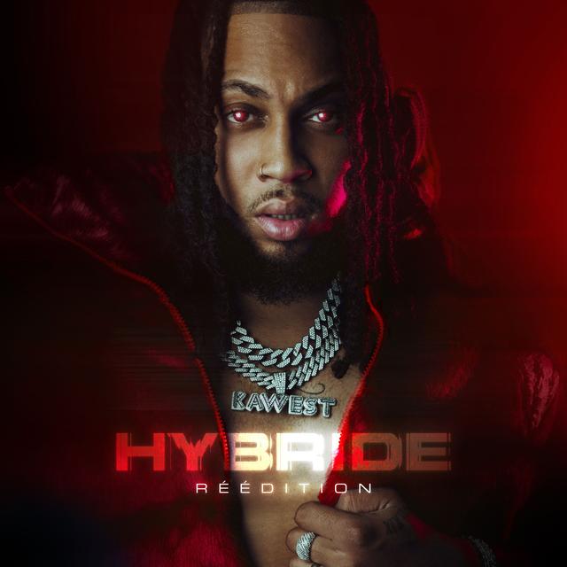 Album cover art for Hybride (Réédition)