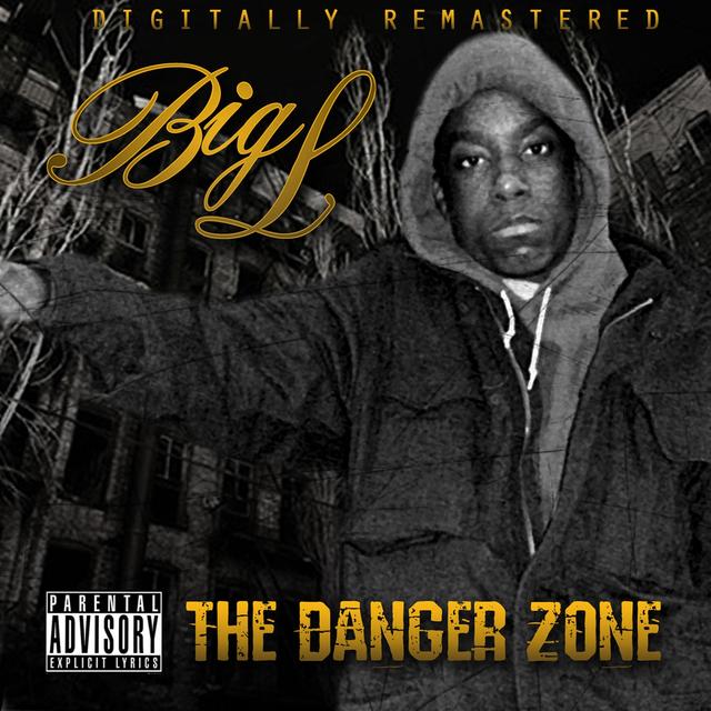 Album cover art for The Danger Zone