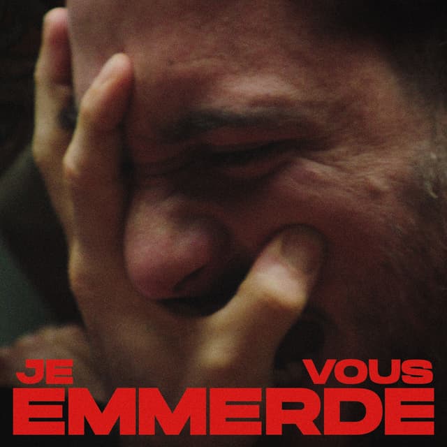 Album cover art for Je vous emmerde