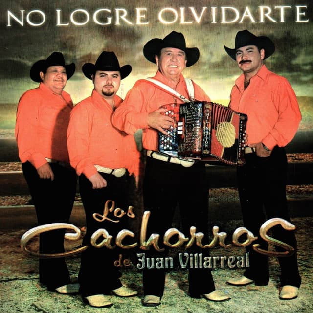 Album cover art for No Logre Olvidarte