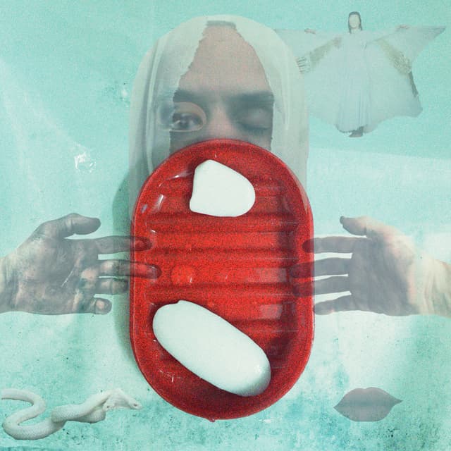 Album cover art for Infiel
