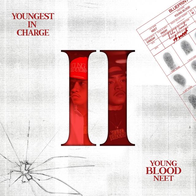 Album cover art for Youngest in Charge II