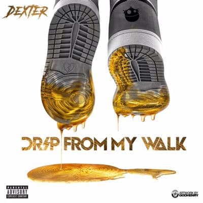 Album cover art for Drip From My Walk