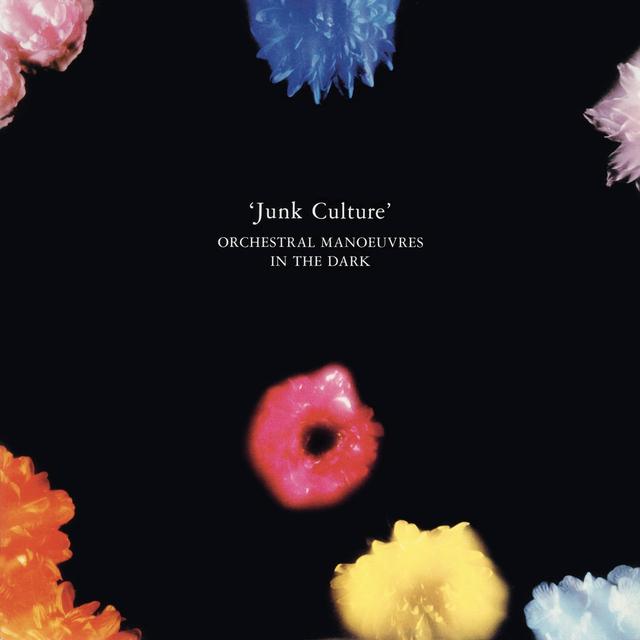 Album cover art for Junk Culture