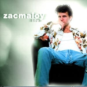 Album cover art for Life