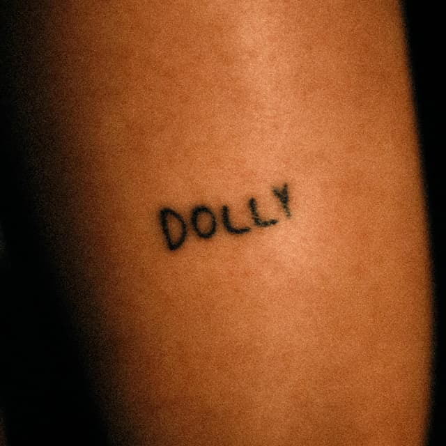 Album cover art for DOLLY