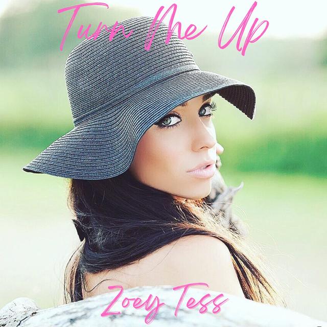 Album cover art for Turn Me Up