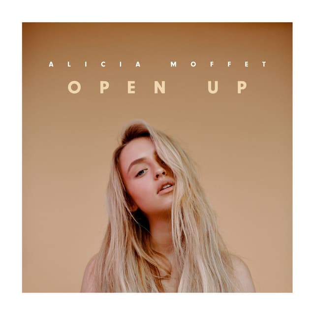 Album cover art for Open Up