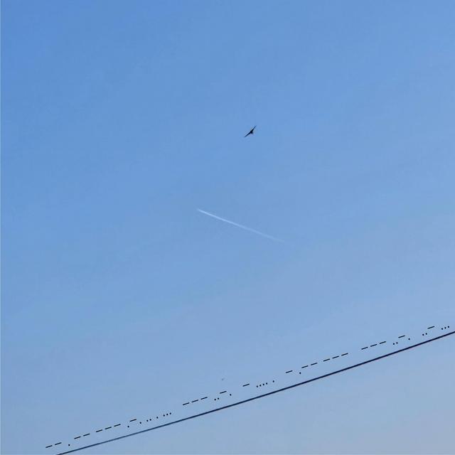 Album cover art for Our Memory