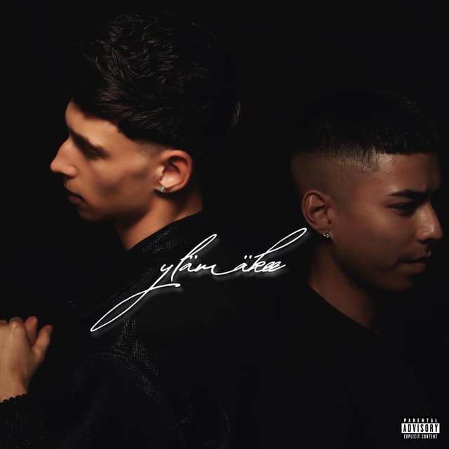 Album cover art for Ylämäkee