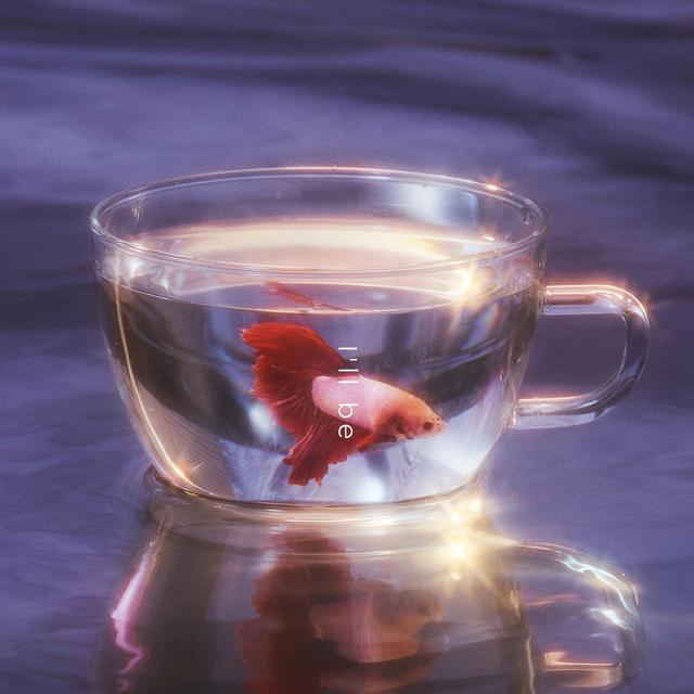 Album cover art for I'll be