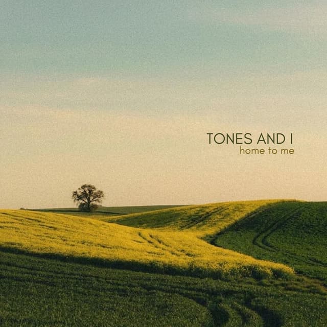 Album cover art for Home To Me