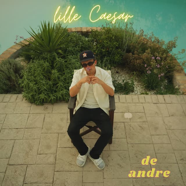 Album cover art for de andre