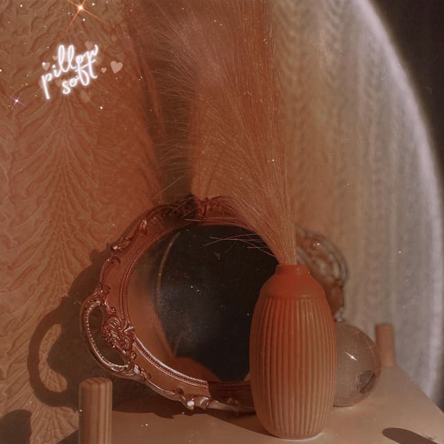 Album cover art for pillow soft