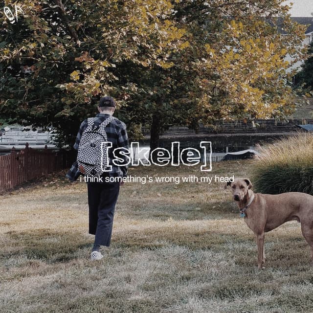Album cover art for i think something's wrong with my head