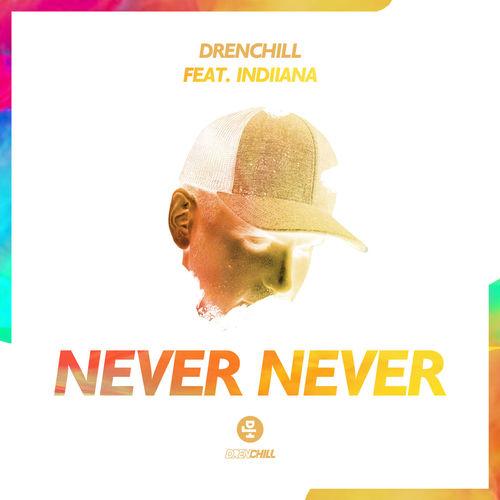 Album cover art for Never Never