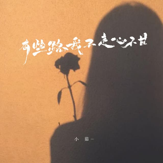 Album cover art for 有些路我不走心不甘