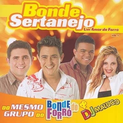 Album cover art for Um Amor de Forró, Volume 1